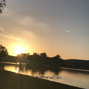 Meet your Posher, Miriam